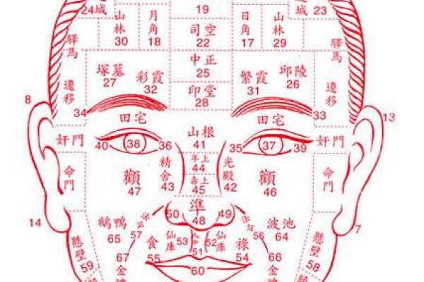 私处痣相揭秘：麻衣神相中的神秘暗示