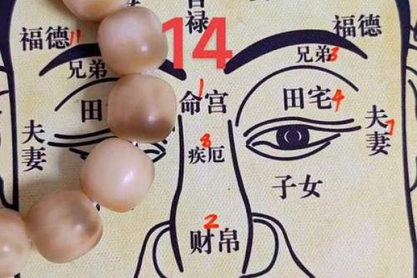 私处痣相揭秘：麻衣神相中的神秘暗示
