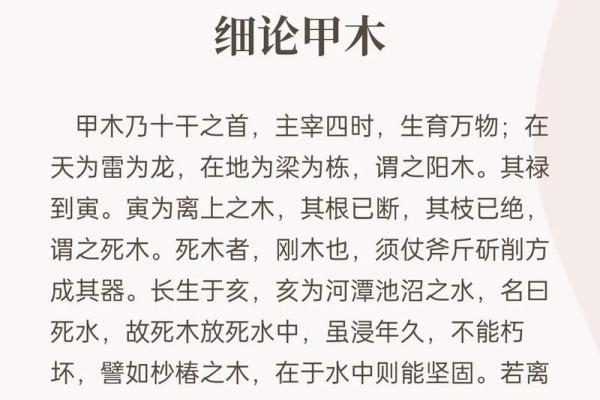 为什么合八字这么重要？探索它背后的文化意义