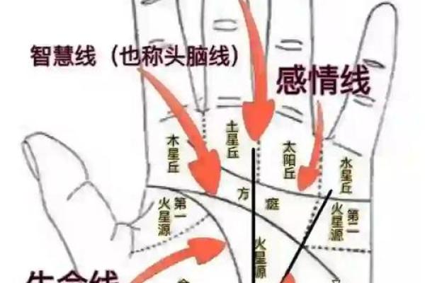 揭秘手相密码：掌握男人财富运势的神奇指南