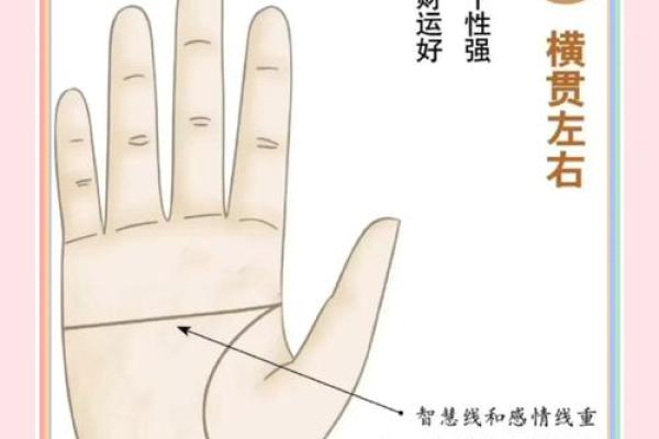 揭秘手相生命线：你的命运密码在此