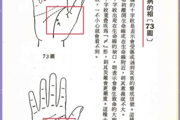 手相奥秘大揭秘：女性必备的手相全攻略