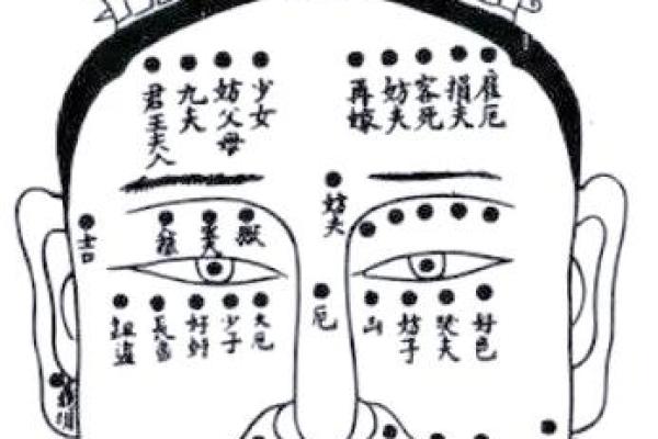 解码面相：揭秘男女脸型与命运之间的神秘联系