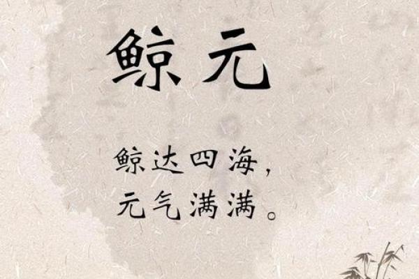 探索国字起名公司：让你的名字充满历史与文化气息