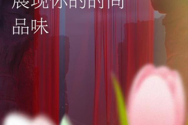 穿上名牌，提升你的时尚品味