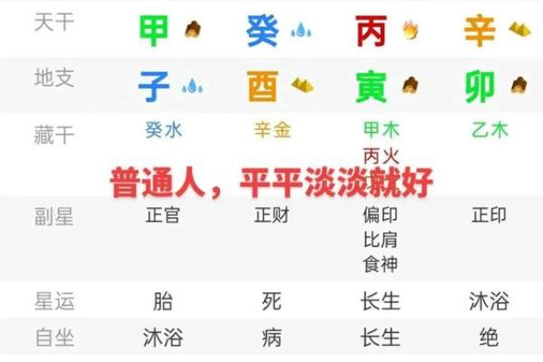 癸酉年命理揭秘：揭秘你的生肖命格密码