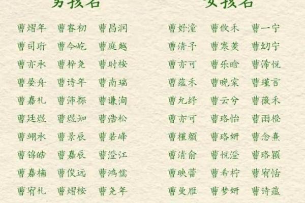 曹氏起名秘笈揭秘