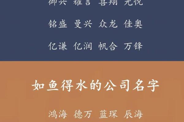 服饰公司起名攻略：选对名字，打开成功之门