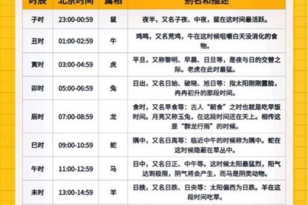 了解子时五行属性，轻松掌握命理