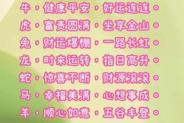 牛兔组合，财运滚滚来