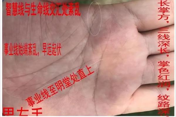 手相揭秘：女性好事业线预示财富与成功，揭秘你的财运亨通