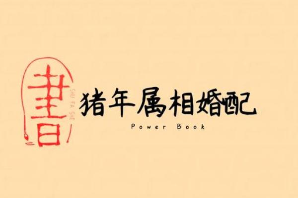 非同寻常鸡猪配对，揭秘婚姻新境界