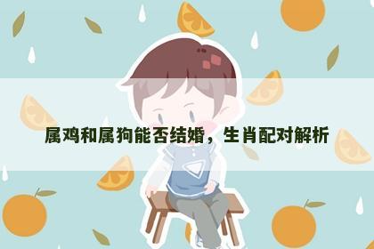 属鸡和属狗能否结婚，生肖配对解析
